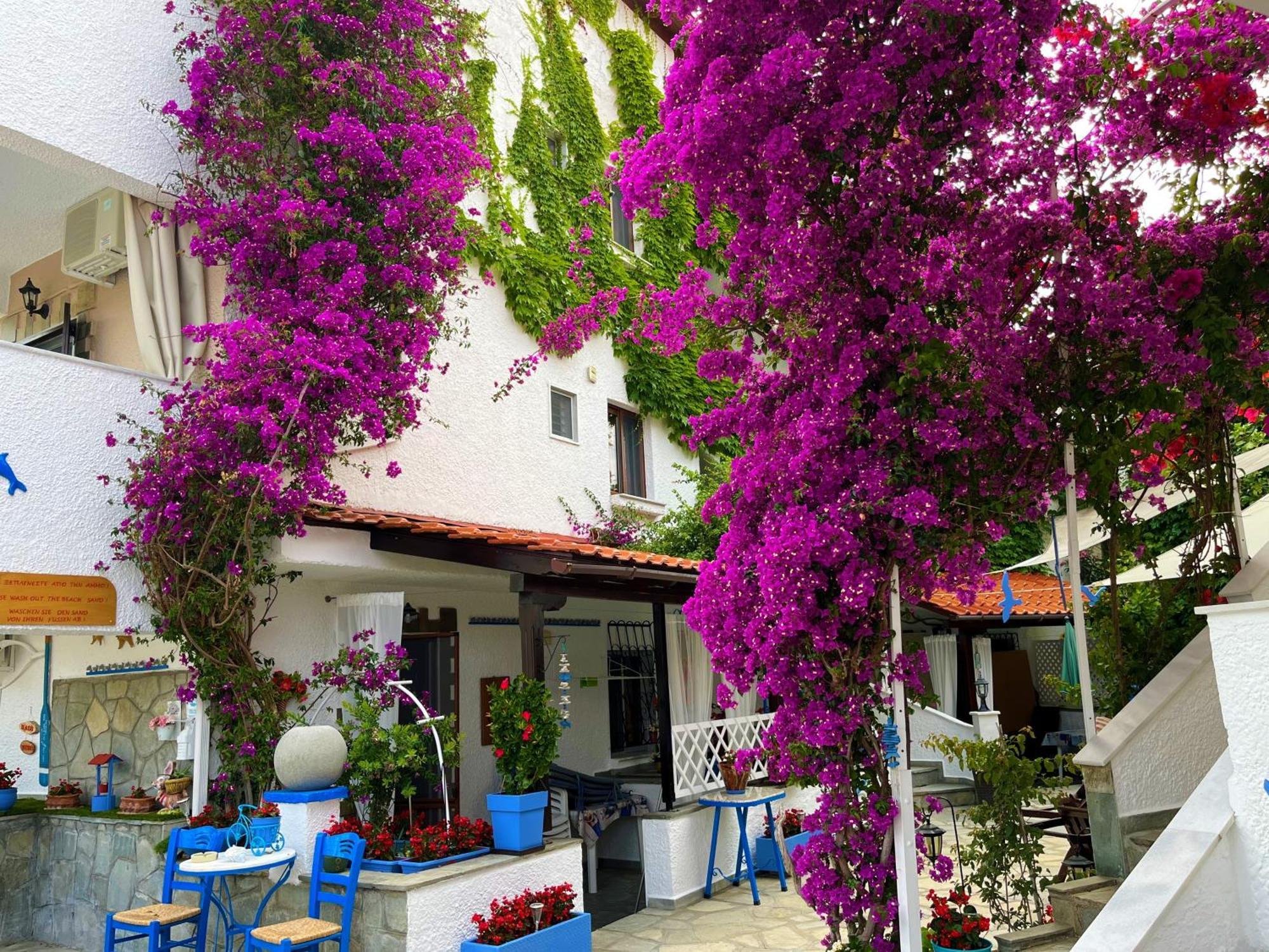 Haus Niko Apartments And Suites ネア・ポティダイア エクステリア 写真